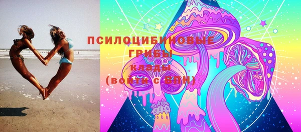 шишки Кулебаки