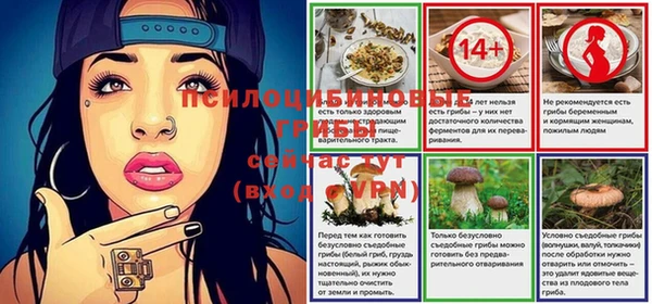 альфа пвп Кукмор