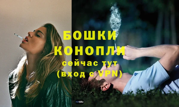 шишки Кулебаки