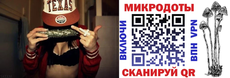 Купить где  Задонск  Псилоцибиновые грибы Psilocybine cubensis 